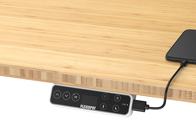 FLEXISPOT E6 Pro Oval Leg Dual Motor 3 Stages Bamboo Electric Standing Desk 60x30 Inch Whole-Piece Board Height Adjustable Electric Sit Stand Up Desk (Black Frame + Bamboo Curved Desktop)