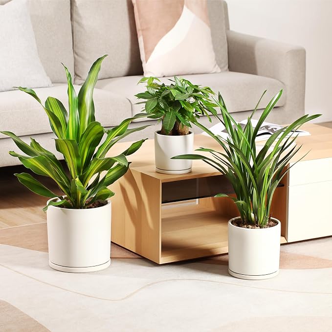 Kazeila Plant Pots Ceramic Planter for Indoor Outdoor Plants Flowers 10 Inch Matte White Large Cylinder Flower Pot with Saucer and Drainage Hole,Glazed Finish Interior and Exterior