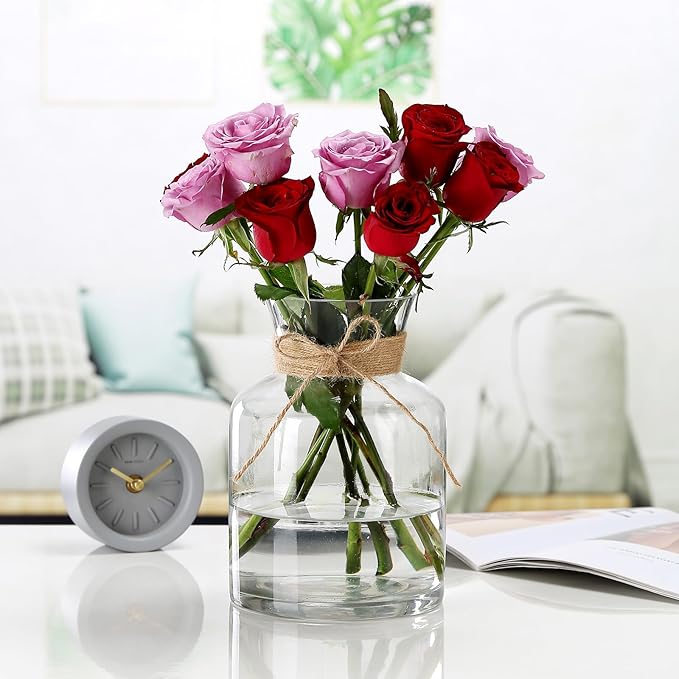8" Decorative Modern Flower Vase with Twine Rope for Floral Arrangements, Wide Mouth Large Clear Glass Vase for Bouquet(Transparent) (Clear, 03)