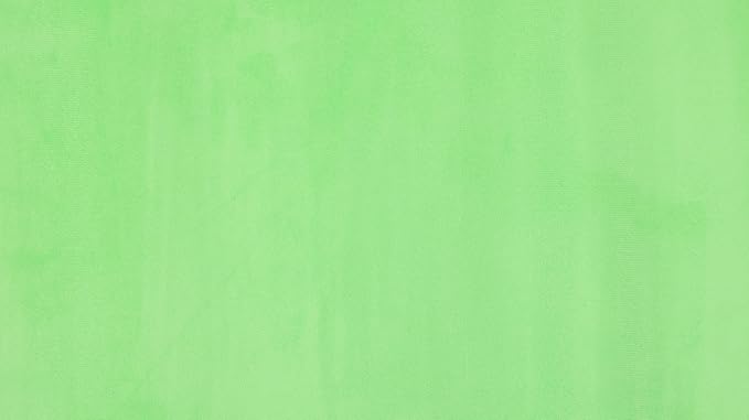Kate 6ftX9ft Solid Light Green Backdrop Portrait Photography Background for Photography Studio Children and Headshots Green Backdrop Background