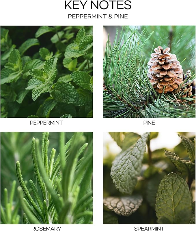 CULTURE & NATURE Pure Grade Essential Oil Diffuser (Peppermint & Pine)