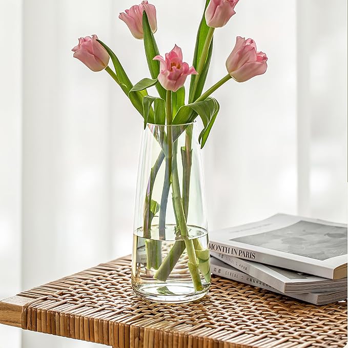 FANTESTICRYAN Modern Glass Vase Irised Crystal Clear Glass Vase for Home Office Decor (Crystal Clear)