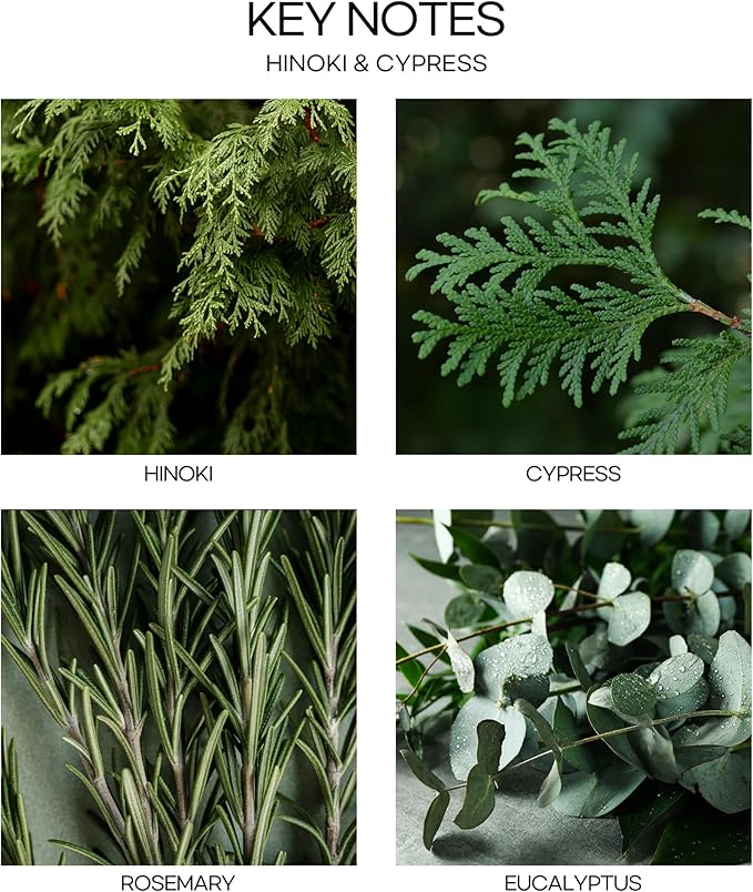 CULTURE & NATURE Pure Grade Essential Oil Diffuser (Hinoki & Cypress)