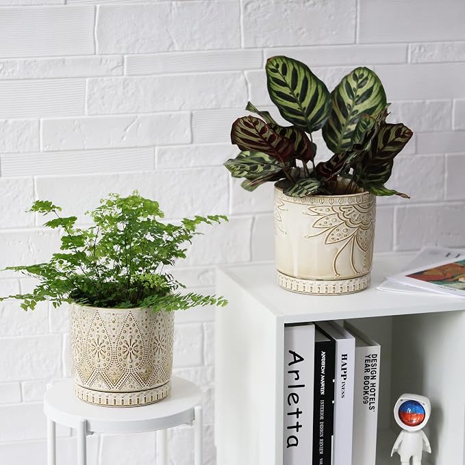 6 Inch Indoor Plant Pots with Drainage Holes and Saucers, Ceramic Planter for Plants, Flower Pot - Set of 2
