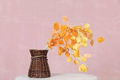 Kate 6ftX9ft Solid Light Pink Backdrop Portrait Photography Background for Photography Studio Children and Headshots Light Pink Backdrop Background