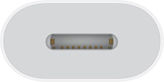Apple USB-C to Lightning Adapter