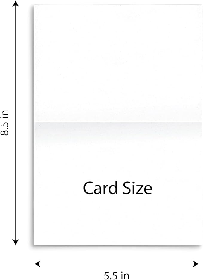 Quni Brand Forest Animals Note Card Set (24 Fold-over Cards and Envelopes)