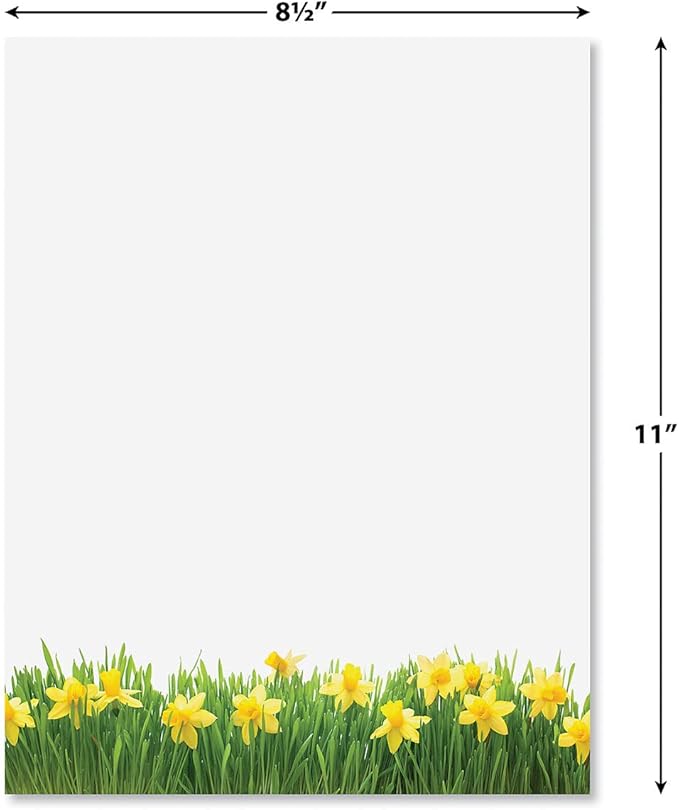 Current Daffodil Floral Letter Paper - Spring Stationery Papers With Decorative Daffodil Border, Printable Holiday, Wedding & Bridal Shower, & Invitation Sheets, Set of 25, 8 1/2" x 11"