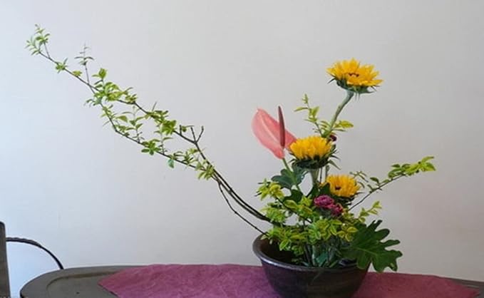 JapanBargain 2300, Japanese Ikebana Kenzan Flower Frog for Flower Arrangements Brass Floral Arranging Pin Needle Holder Made in Japan, 3-3/4inch x 3 inch