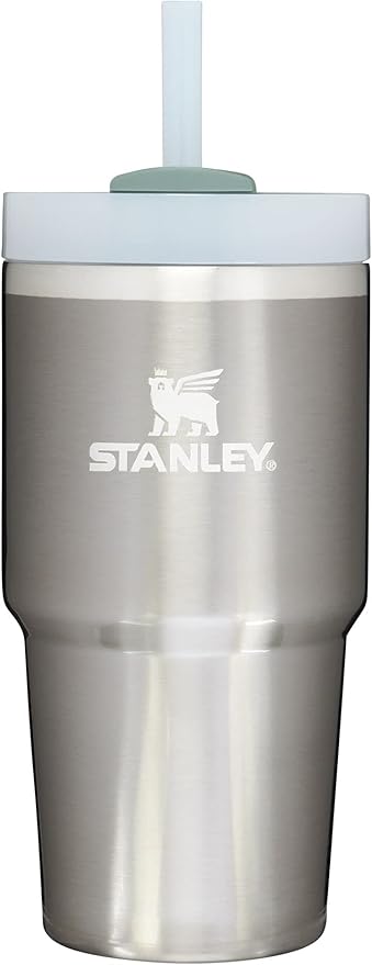 STANLEY Quencher H2.0 Tumbler with Straw 20 oz | Flowstate 3-Position Lid | Cup Holder Compatible for Travel | Insulated Stainless Steel Cup | BPA-Free | Stainless Steel Shale