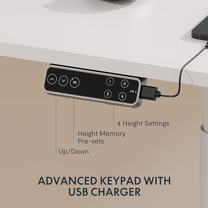 FLEXISPOT E6 Pro Oval Leg Dual Motor 3 Stages Standing Desk 60x24 Inch Whole-Piece Board Electric Height Adjustable Electric Sit Stand Up Desk 150KG Load Capacity (White Frame + White Desktop)