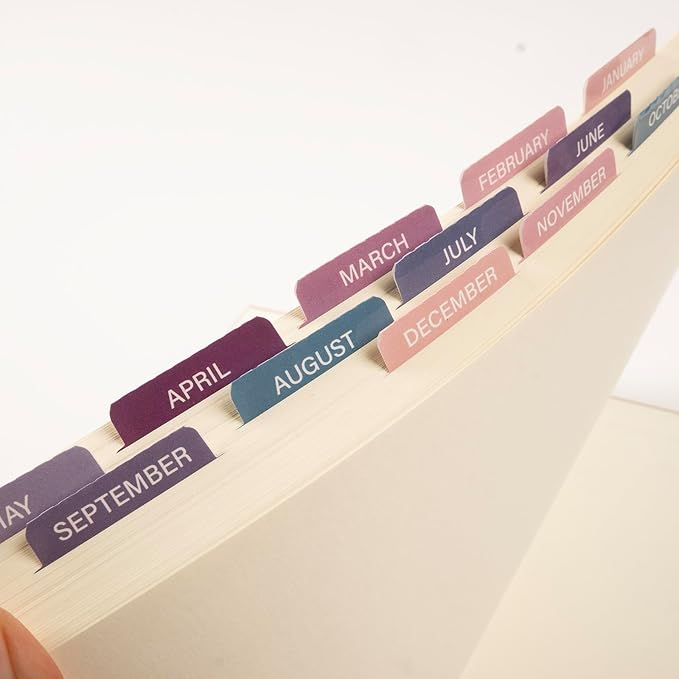 Lumintutu Laminated Planner Monthly Stickers,40 Adhesive Plan Tabs Accessories for Notebooks (2 Sets 12 Month Tabs and 16 Blank Tabs), Calendar Monthly Divider Set (Purple & Pink)