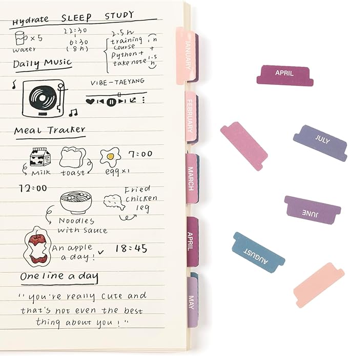 Lumintutu Laminated Planner Monthly Stickers,40 Adhesive Plan Tabs Accessories for Notebooks (2 Sets 12 Month Tabs and 16 Blank Tabs), Calendar Monthly Divider Set (Purple & Pink)
