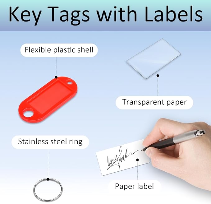 10 Pack Plastic Key Tags with Labels and Split Ring, Black Keychain Cable and Key Labels for Keys, USB Drive and Luggage Organization - Multicolored