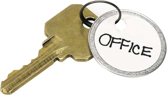 Avery Metal Rim Key Tags 6-Pack, 1.25" Diameter Tag, Metal Split Ring, White, 300 Tags Total (13128)