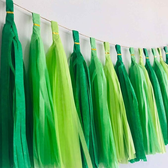 We Moment Green Light Tissue Paper Tassels Party Tassel Garland Banner for Green Party Decorations, DIY Kit, 15PCS