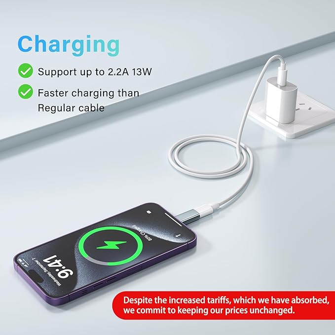 USB C Type C to Lightning Adapter （4 Pack） 1.8-2.2A 15W Fast Charging Support Data Sync,Lightning to USB Type C Cable Adapter for iPhone/iPad/for Airpods,with Anti-Lost Loop,Not for Audio/OTG, Gray
