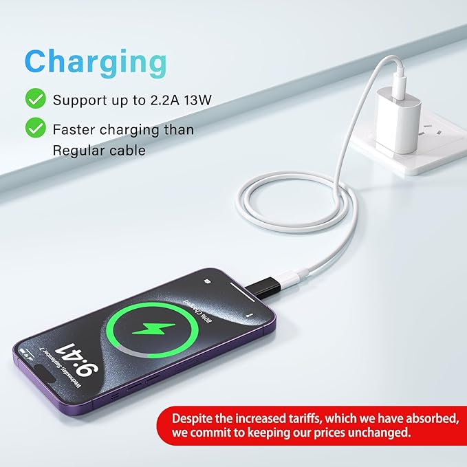 USB C Type C to Lightning Adapter （4 Pack） 1.8-2.2A 15W Fast Charging Support Data Sync,Lightning to USB Type C Cable Adapter for iPhone/iPad/for Airpods,with Anti-Lost Loop,Not for Audio/OTG (Black)