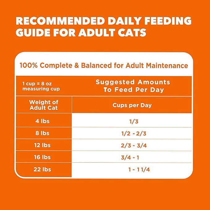 IAMS Proactive Health Dry Cat Food, Healthy Cat Food Dry Recipe for Adults, with Chicken 7 lb. Bag
