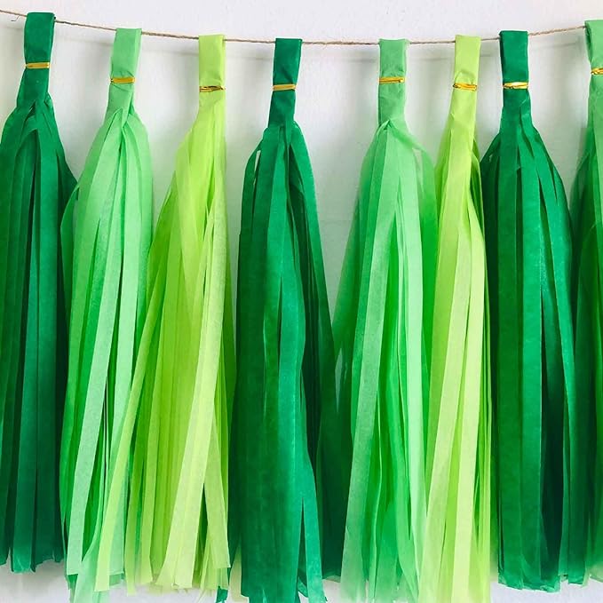 We Moment Green Light Tissue Paper Tassels Party Tassel Garland Banner for Green Party Decorations, DIY Kit, 15PCS