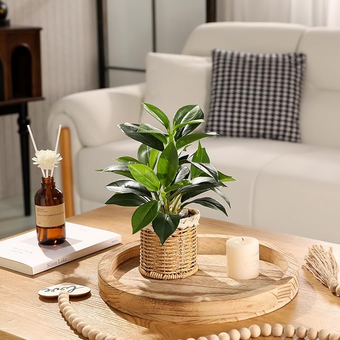 Nubry Fake Plants Artificial Potted Plants with Weaved Pot for Shelf & Table Desk | Perfect for Home Office Bathroom Farmhouse Room Coffee Table Decor 10‘’