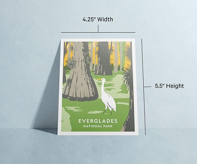 Twigs Paper - Assorted Art National Parks Greeting Cards - Stationery Cards with Envelopes - Thank You and Blank Note Cards - Greeting Cards for All Occasions - Made in USA (5.5 x 4.25, Set of 12)