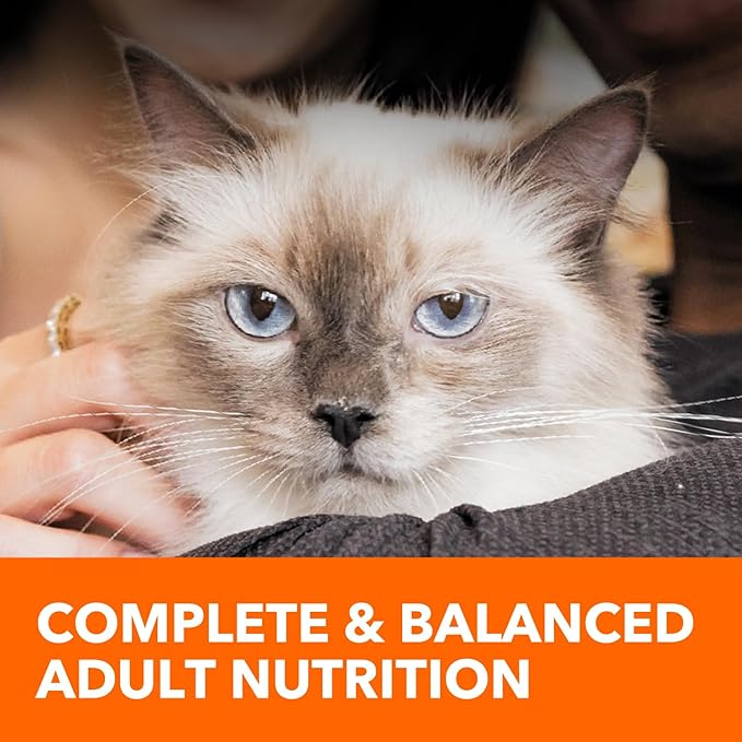 IAMS Healthy Enjoyment Dry Cat Food Chicken & Salmon Recipe, Cat Food Dry Recipe, 15 lb. Bag