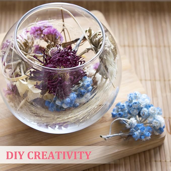 PATIKIL Mini Dried Gypsophila Flower Kit, 30Pcs 4 Inch Rose Red Natural Pressed Floral Bundles with Tweezer for DIY Resin Crafts Gift Wedding Christmas Card Decor Flower Bouquets