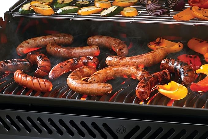 Napoleon Rogue PRO 625 Propane Gas Grill with Infrared Side Burner, Black, Durable 6-Burner Backyard Grill