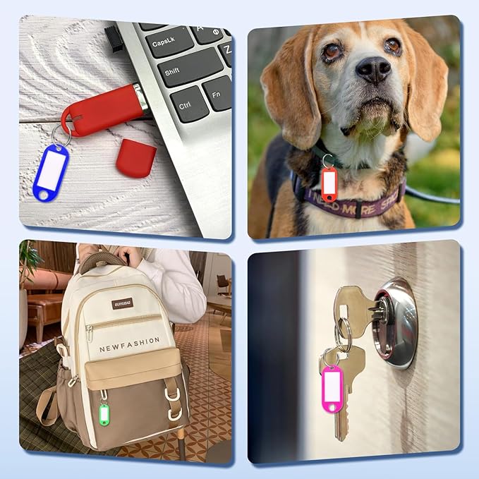40 Pack Key Tags, Plastic Key Tags with Labels and Split Ring, 4 Keychain Cable and Key Labels for USB Drive, Bags and Luggage Organization - 10 Color