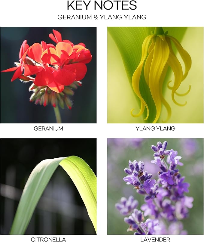 CULTURE & NATURE Pure Grade Essential Oil Diffuser (Geranium & Ylang Ylang)