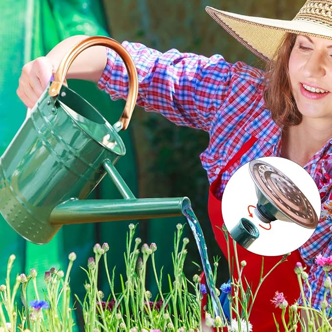 1 Gallon Metal Watering Can with Removable Spout, Nice Galvanized Steel Water Can with Embossed Design for Indoor and Outdoor Plants