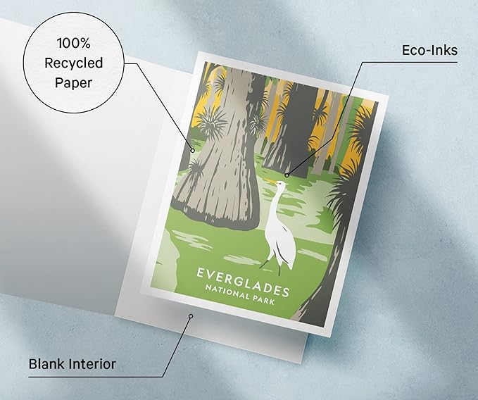 Twigs Paper - Assorted Art National Parks Greeting Cards - Stationery Cards with Envelopes - Thank You and Blank Note Cards - Greeting Cards for All Occasions - Made in USA (5.5 x 4.25, Set of 12)