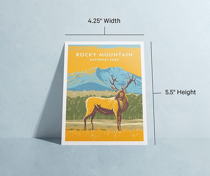 Twigs Paper - Assorted Outdoor National Parks Greeting Cards - Stationery Cards with Envelopes - Thank You and Blank Note Cards -Greeting Cards for All Occasions - Made in USA (5.5 x 4.25, Set of 12)