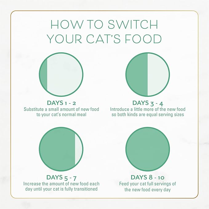 Fancy Feast Purina Dry Cat Food with Ocean Fish and Salmon - 3 lb. Bag (Pack of 2)