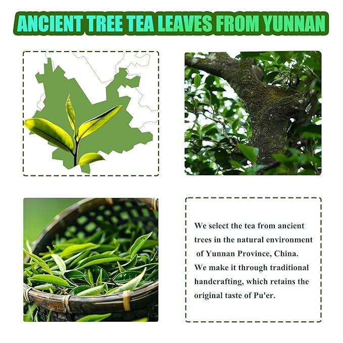 Organic Pu-erh Tea Bags - Raw Chinese Organic Pu erh Dark Tea 12 Pack, 1.5g Each Pu'erh Tea Bag, from Ancient Tree 2018 Aged Earthy Flavor Rich Antioxidants, Daily Breakfast Drinking Gift