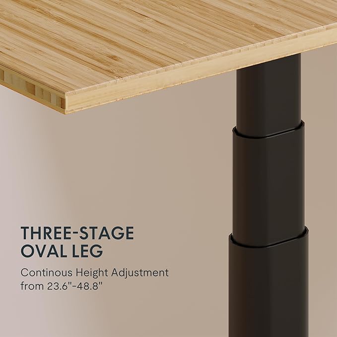 FLEXISPOT E6 Pro Oval Leg Dual Motor 3 Stages Bamboo Whole-Piece Electric Standing Desk 78x30 Inch Board Height Adjustable Electric Sit Stand Up Desk (Black Frame + Bamboo Whole-Piece Desktop)
