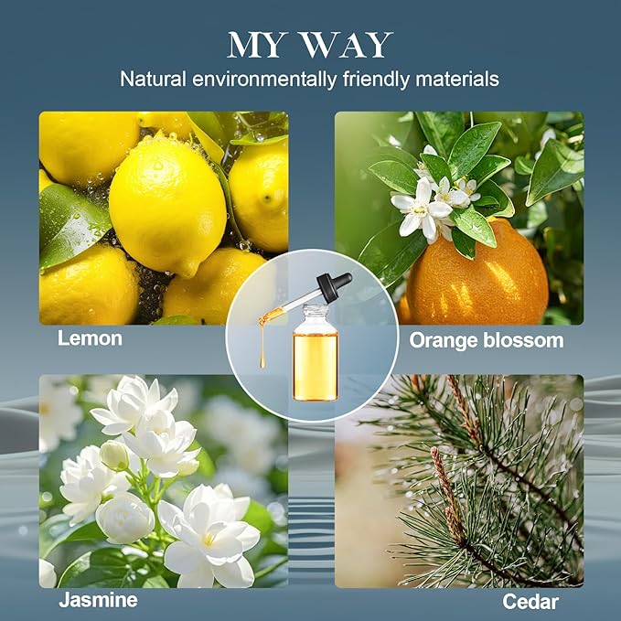 LEAMERR Reed Diffuser Set, My Way Floral Fragrance Diffuser 6.1 fl oz with 6 Reed Sticks Long-Lasting Home Fragrance Reed Diffuser for Home Room Office Bathroom Shelf Decor
