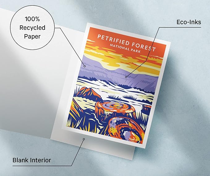 Twigs Paper - Assorted Nature National Parks Greeting Cards - Stationery Cards with Envelopes - Thank You and Blank Note Cards - Greeting Cards for All Occasions - Made in USA (5.5 x 4.25, Set of 12)