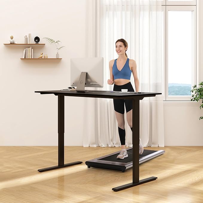 FLEXISPOT E3 Dual Motor Electric Standing Desk 48 x 24 Sit Stand Up Desk, Holds 220 lbs, Adjustable Height w/ Memory Presets, One-Piece Black Desktop & Black Frame, Ships in 2 Boxes
