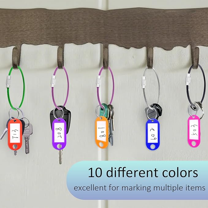 40 Pack Key Tags, Plastic Key Tags with Labels and Split Ring, 4 Keychain Cable and Key Labels for USB Drive, Bags and Luggage Organization - 10 Color