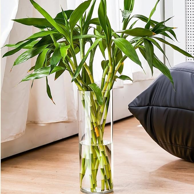 Clear Acrylic Flower Vase, Modern Unbreakable Decorative Cylinder Vase for Wedding Bouquets, Centerpieces, and Home Decor - 10cm Diameter, 40cm Height