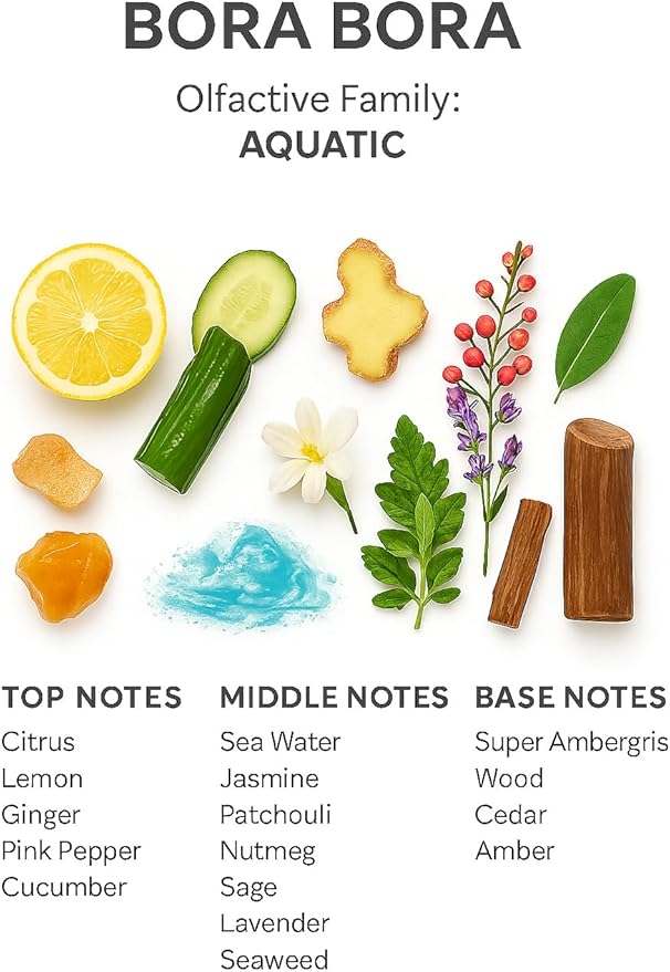 SevenAromas Hotel Scent Diffuser Oil, Luxury Hotel-Inspired Essential Oil for Aromatherapy & HVAC Diffusers – Premium Dropper Bottle - 145 ml 5 FL oz (Bora Bora)