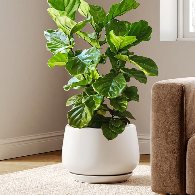 LE TAUCI Ceramic Planters, 12 Inch Pots for Plants, Plant Pots with Drainage Holes and Saucers, Durable and Modern, Planters for Indoor Plants, White