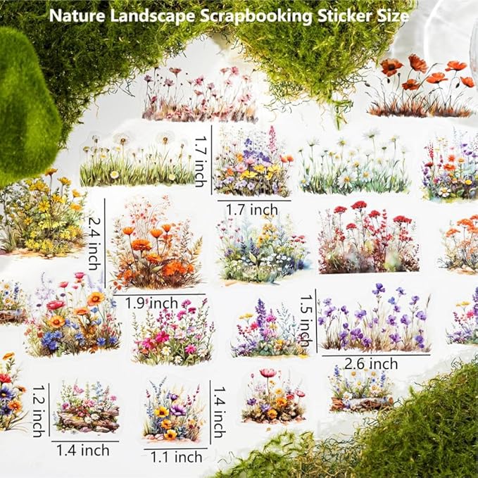 Nature Landscape Scrapbooking Sticker Set, 240 Pieces, 6 Themes Transparent PET Stickers for Journaling, Junk Journal Supplies, Planner, Collage, Bujo, Mixed Media, DIY Crafts Arts