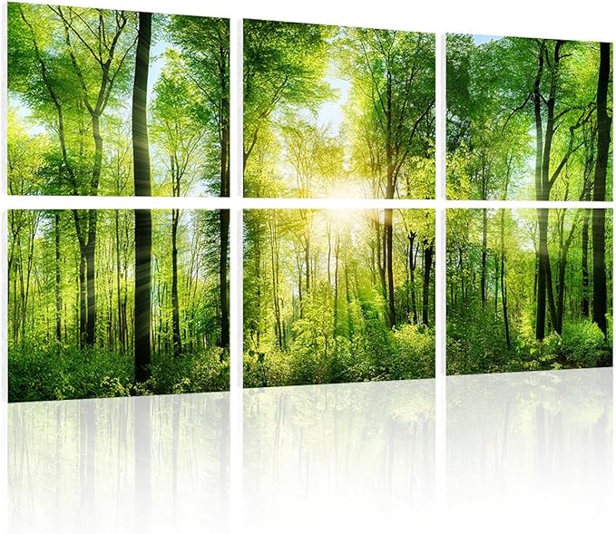 YPY Sound Proofing Panels for Walls Morning sunrise forest green trees: 6 Pack 72×48 Inches Decorative Art Acoustic Panel Sound Dampening Panels Absorbing Treatment