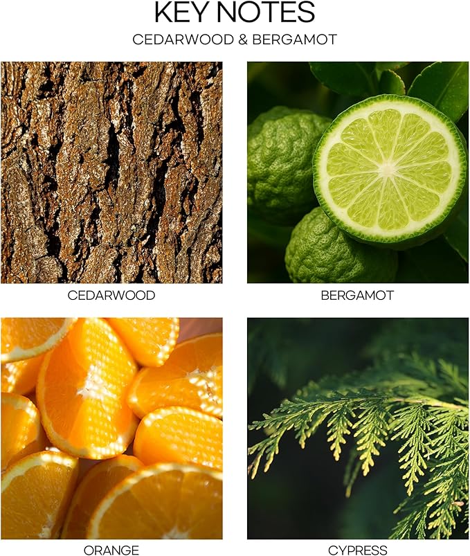 CULTURE & NATURE Pure Grade Essential Oil Diffuser (Cedarwood & Bergamot)