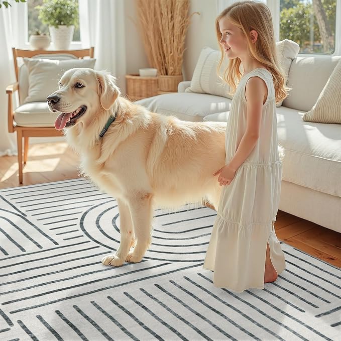 DCX Abstract Machine Washable 6x9 Rug, Gray Modern Accent Rug for Living Room, Soft Low Pile Non Slip Carpet, Kid & Pet Friendly Stain Resistant Rug for Bedroom Dining Room Office
