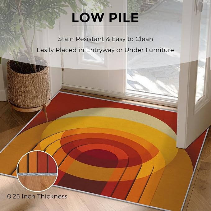 Mid Century Modern Rugs for Home Decor, 6x9 ft, Abstract Circle Area Rugs for Living Room, Soft Non Slip Washable Retro 70s Geometric Carpet Bedroom Decorations Dt-Ghf-69