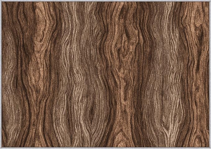 Wood Grain Rustic Area Rug, Vintage Brown Texture Pattern Carpet, Washable Non Slip Low Pile Soft Thin, Living Room Bedroom Home Decor Mat 5x6ft